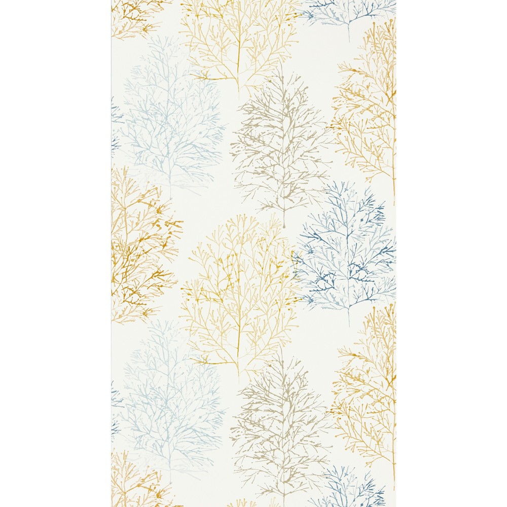 Soetsu Tree Wallpaper 112002 by Scion in Stonewash Papaya Orange